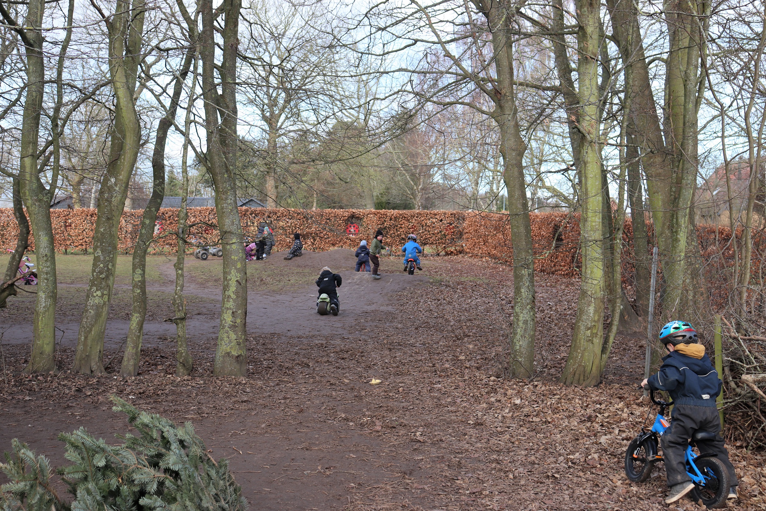 Kæmpe naturområde, hvor børnene kan cykel og rende rundt