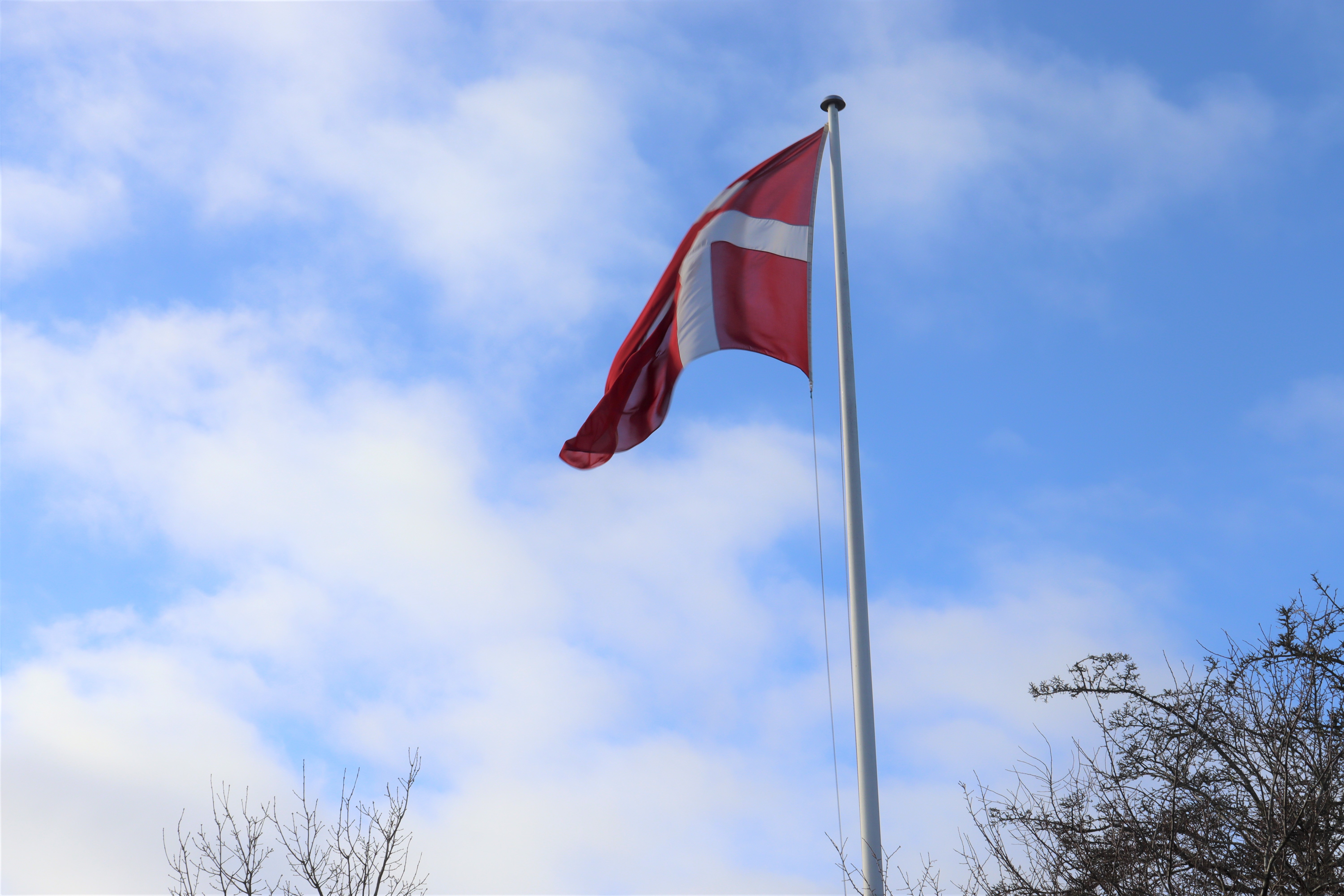 Flag